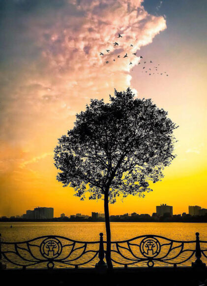 hình nền Hà Nội ở hồ Tây