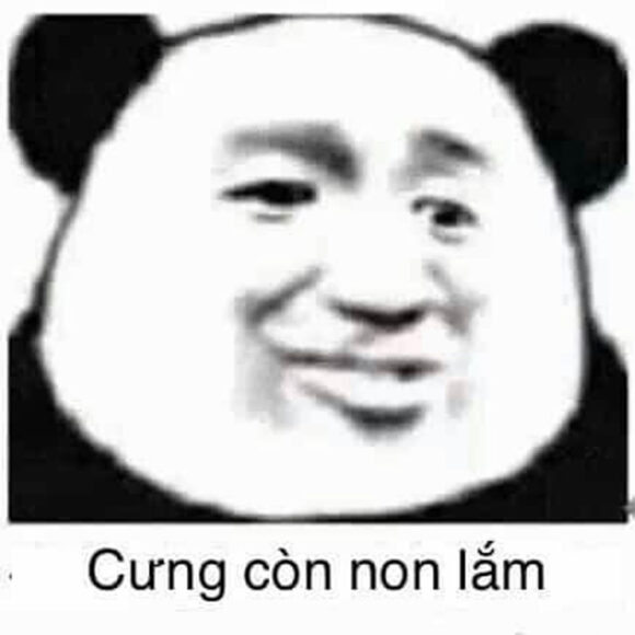 meme hài độc đáo