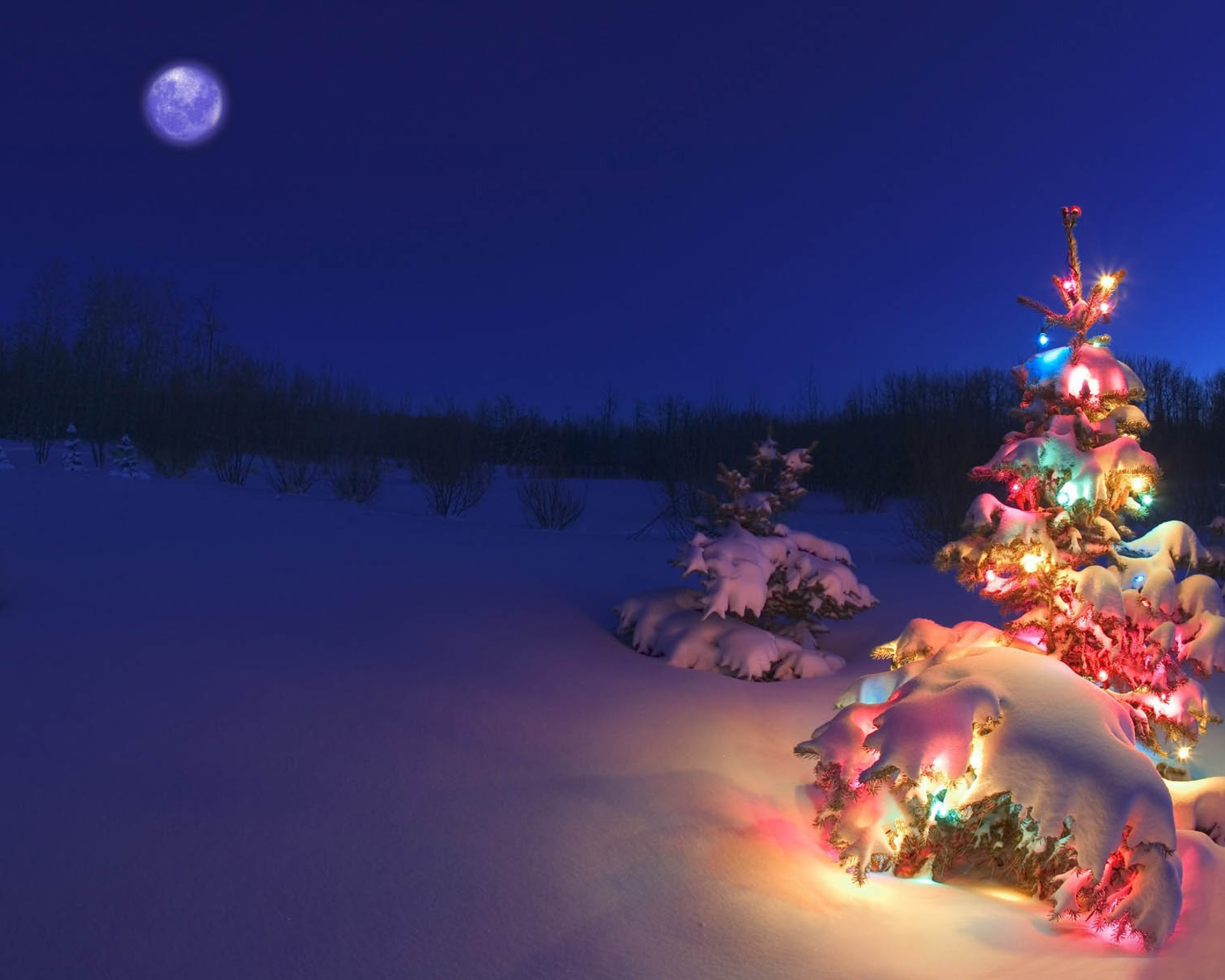 Background Giáng Sinh, Noel Đẹp Rực Rỡ Không Thể Bỏ Lỡ