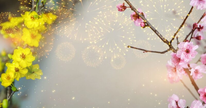 Background chúc mừng năm mới hoa mai hoa đào