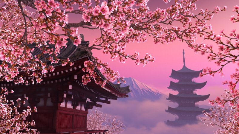 Hình ảnh bìa youtube phong cảnh hoa đào Nhật Bản