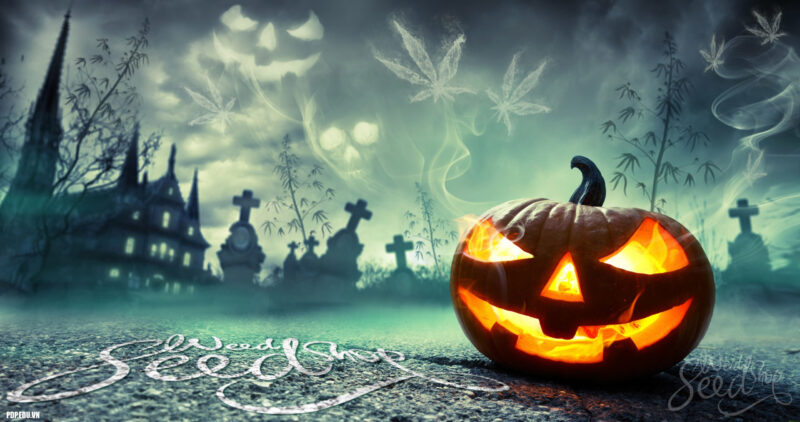 ảnh bìa Halloween bí ngô ma quái