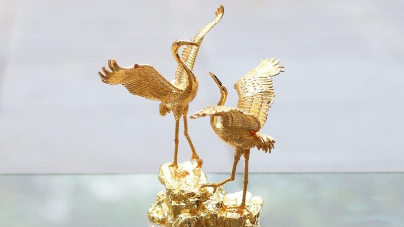 ảnh con hạc tượng vàng