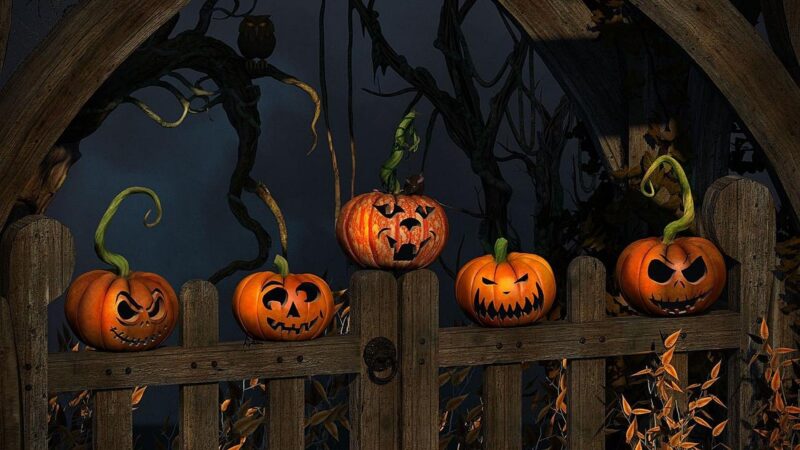 hình ảnh bìa Halloween bí ngô trên hàng rào