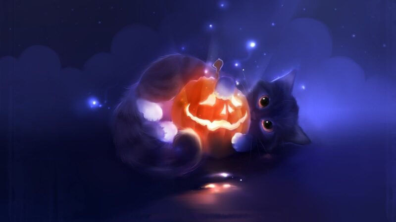 hình ảnh bìa Halloween chú mèo ôm quả bí