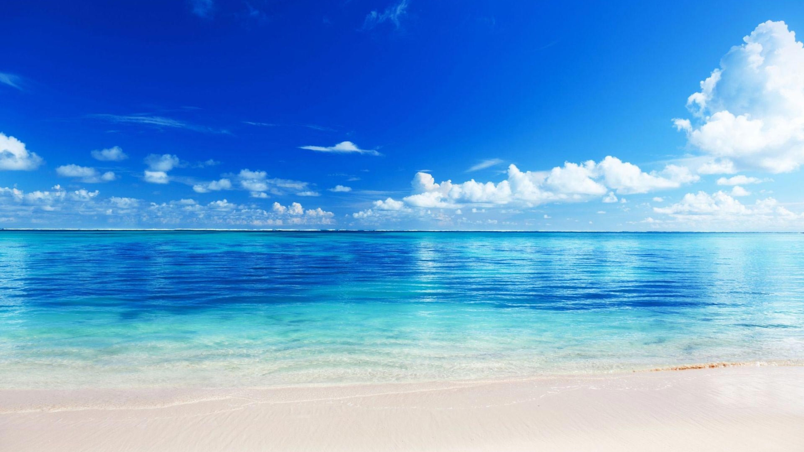 Hãy ngắm nhìn ảnh bìa biển đẹp đến ngỡ ngàng này! Được chụp tại một bãi biển tuyệt đẹp, hình ảnh này sẽ khiến bạn muốn đặt chân đến ngay lập tức. Màu xanh biển trong vắt kết hợp với nắng vàng rực rỡ sẽ làm cho bạn cảm thấy như đang sống trong một bức tranh hoàn hảo.