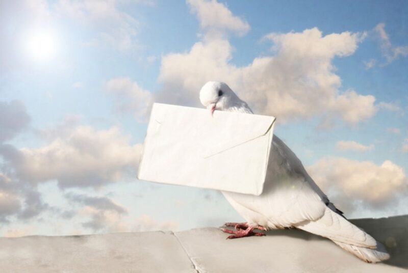 hình chim bồ câu đưa thư