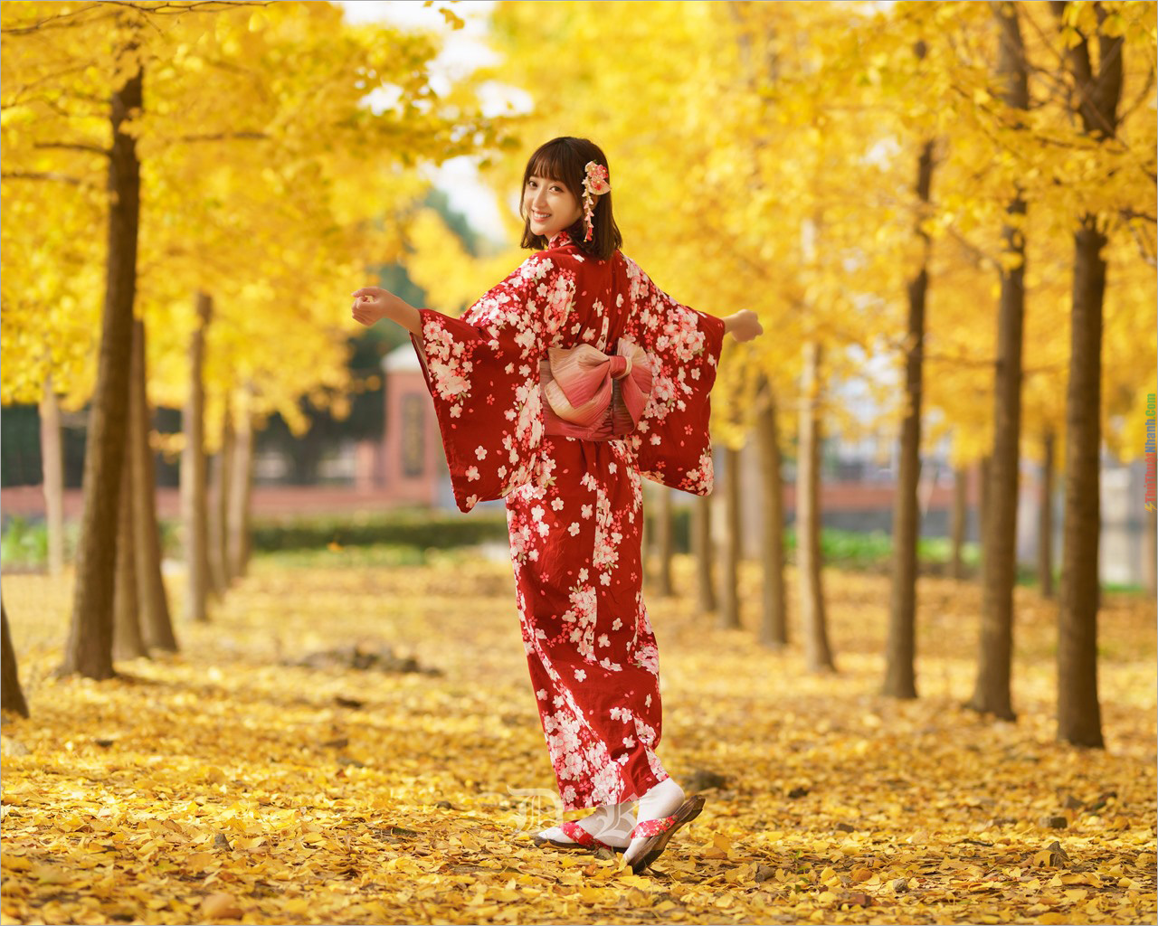 Ảnh Kimono Đẹp, Ấn Tượng Nhất, Khiến Bạn Phải Trầm Trồ
