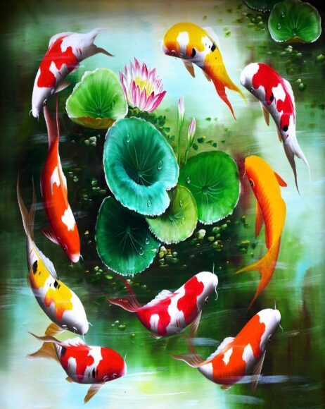 Ảnh cá chép bơi vòng tròn