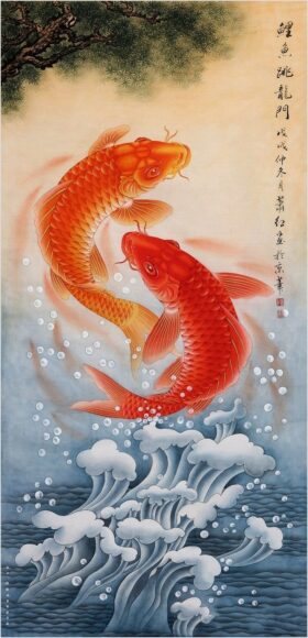 Ảnh cá chép đỏ vẫy nước