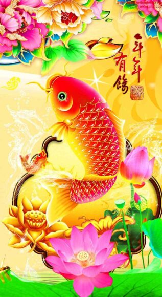 Ảnh cá chép màu vàng