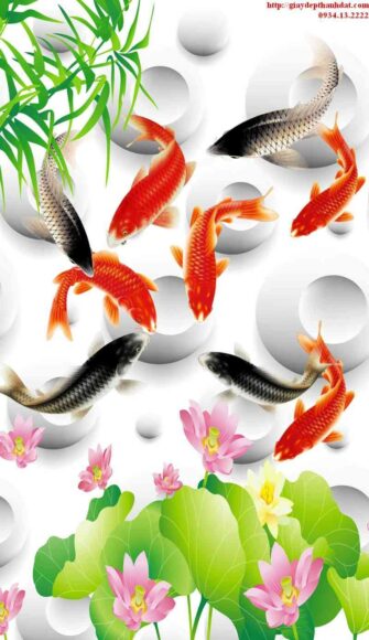 Ảnh cá chép trong hồ sen