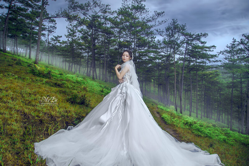 Ảnh cô dâu đơn đẹp