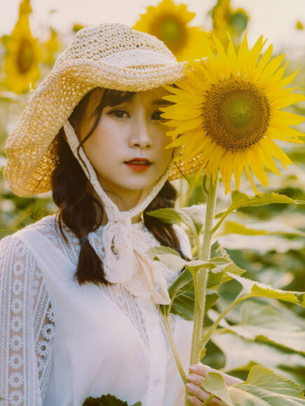 Ảnh cô gái cầm hoa Hướng Dương