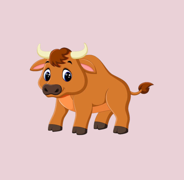 Ảnh con Trâu cute