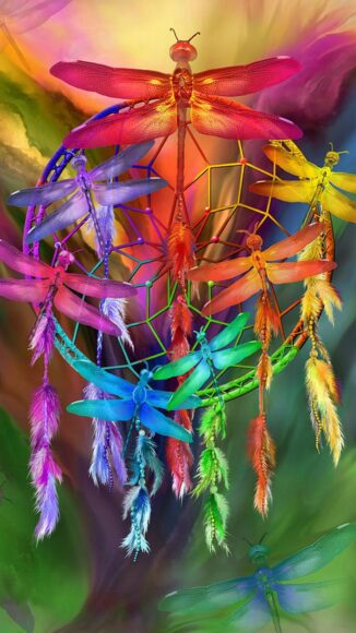 Ảnh con chuồn chuồn nhiều màu