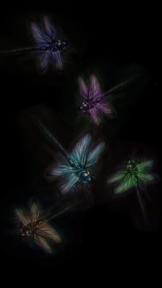 Ảnh con chuồn chuồn trong đêm