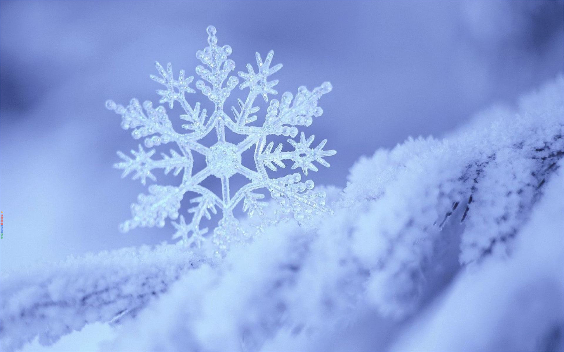 100 Hình xăm bông tuyết đẹp tinh tế và ý nghĩa nhất  ALONGWALKER