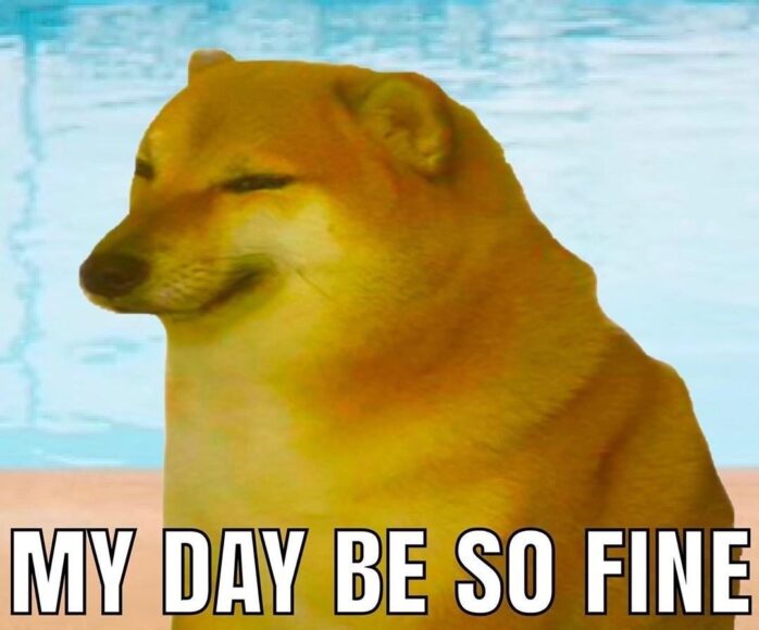 Ảnh meme cheems đẹp