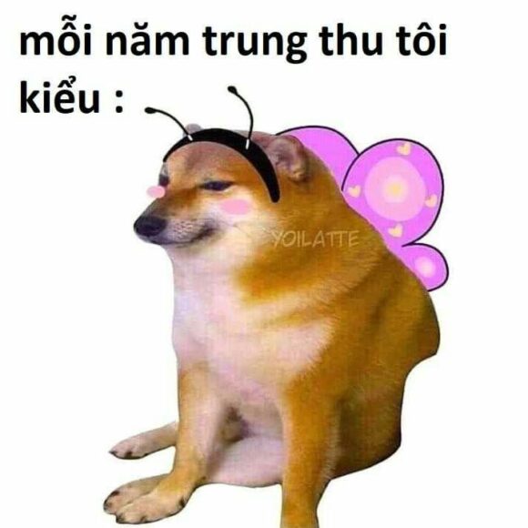 Ảnh meme cheems trng thu