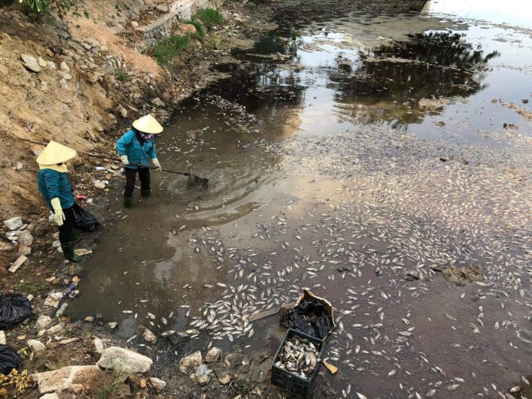 Ảnh ô nhiễm môi trường nguồn nước