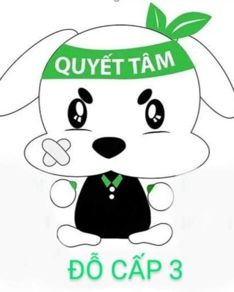 Ảnh quyết tâm đỗ cấp 3