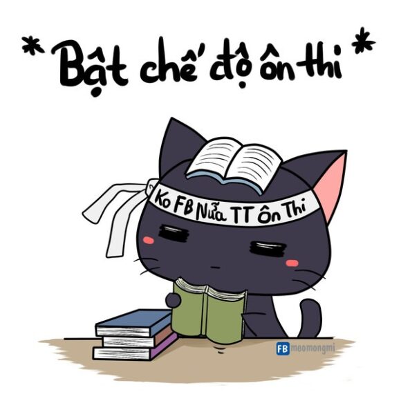 Ảnh quyết tâm mèo xám