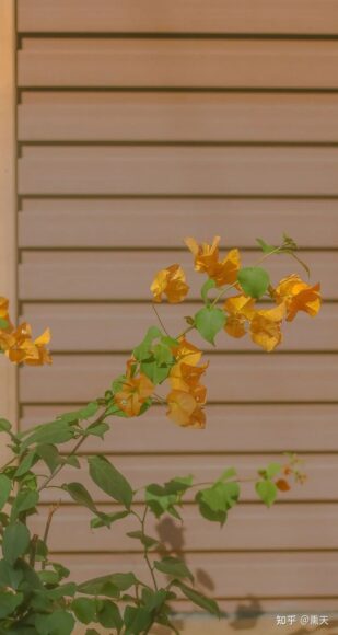 Ảnh vintage buồn đẹp