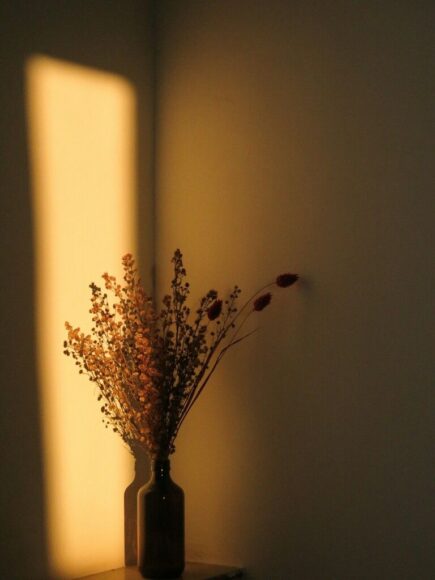 Ảnh vintage buồn, hoa khô