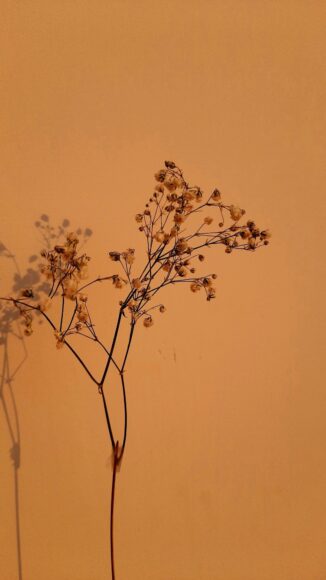 Ảnh vintage đẹp