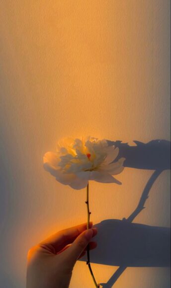 Ảnh vintage đẹp nhất