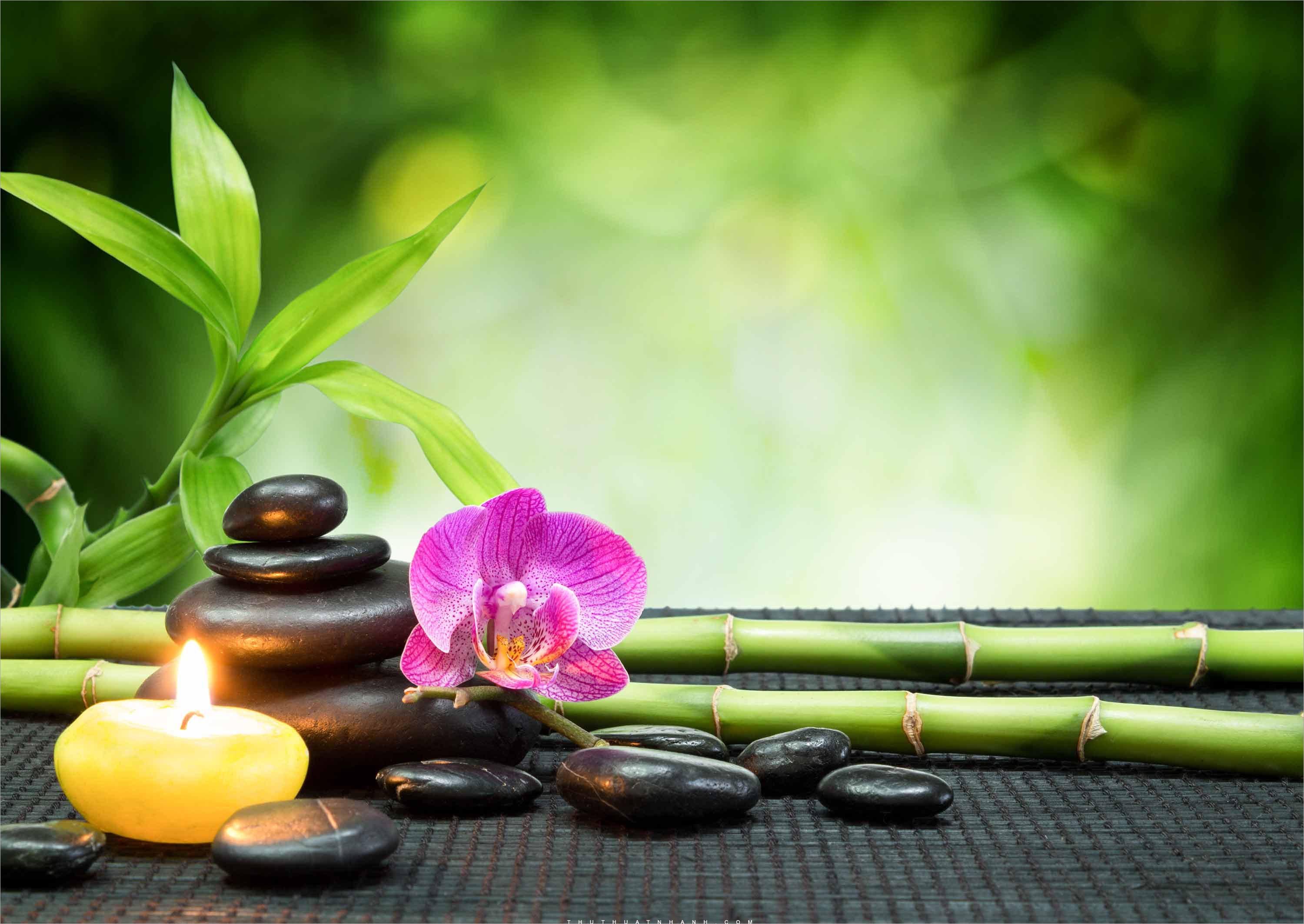 Background Spa Đẹp, Nhẹ Nhàng, Tinh Tế, Cực Kỳ Thu Hút