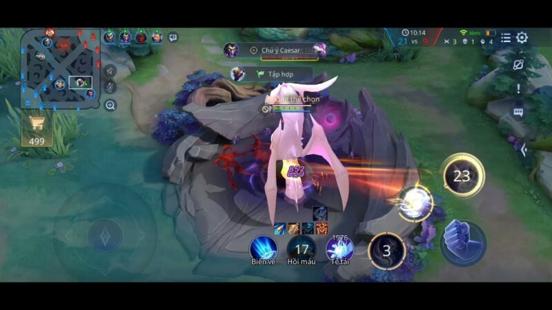 Hình Zill đánh rồng