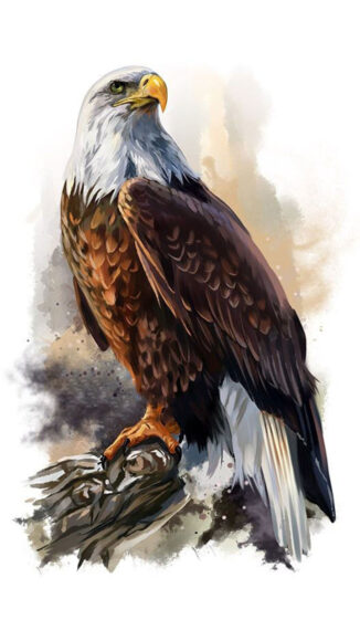 Hình ảnh Đại Bàng vẽ