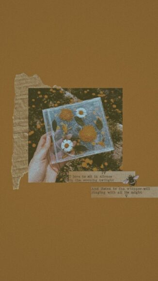 Hình ảnh Vintage đẹp làm hình nền điện thoại