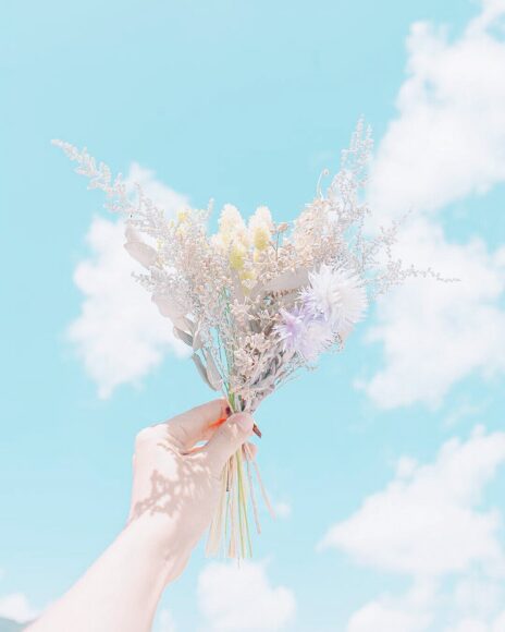 Hình ảnh bầu trời và hoa - hình nền nhẹ nhàng