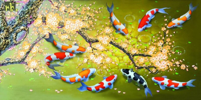 Hình ảnh cá chép đang ăn