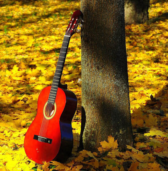 Hình ảnh guitar và lá vàng mùa thu