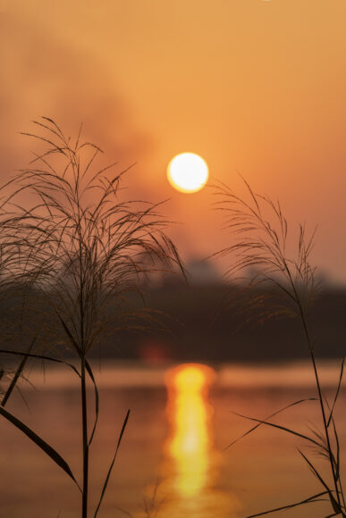 Hình ảnh hoàng hôn buồn đẹp