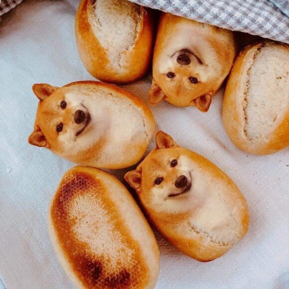 Hình ảnh meme cheems bánh mì mít