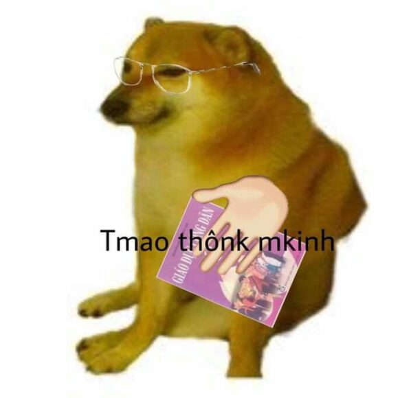 Hình ảnh meme cheems đeo kính