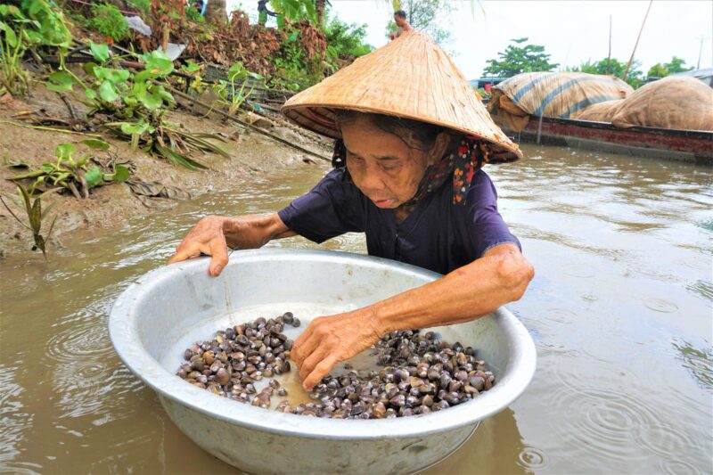 Hình ảnh người mẹ già vất vả