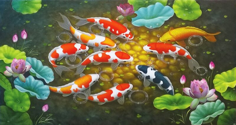 Hình cá chép bơi trong hồ