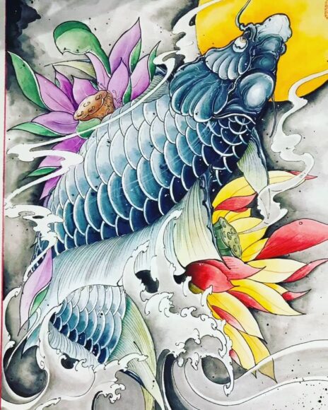 Hình cá chép đẹp nhất