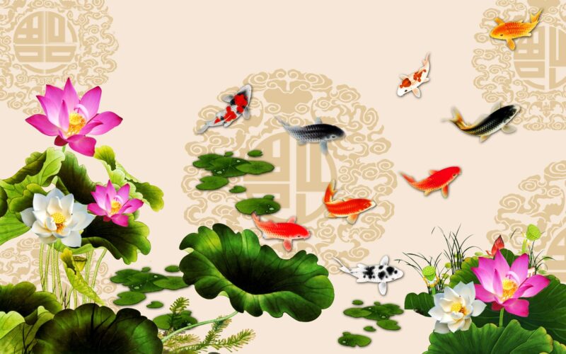 Hình cá chép siêu đẹp