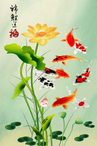 Hình cá chép và sen vàng