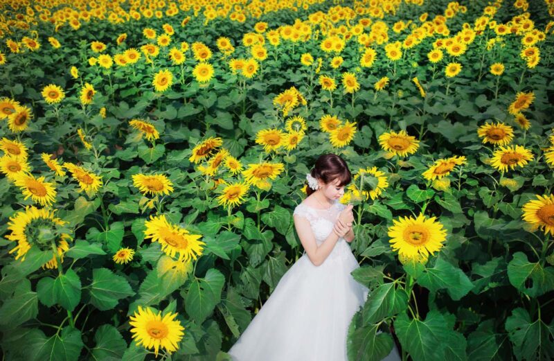 Hình cô dâu đơn trong vườn hoa hướng dương