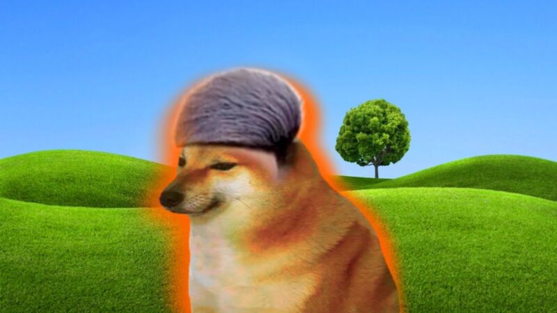 Hình meme cheems đi qua thung lũng