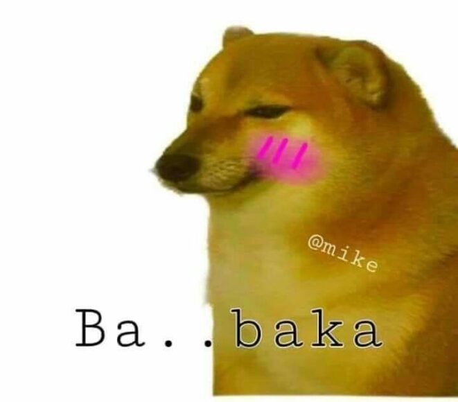 Hình meme cheems xấu hổ đỏ má