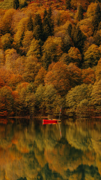 Hình nền iPhone 4K mùa thu